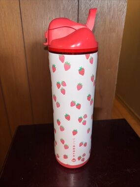 HydroJug Berry cute 24 is Ease2o